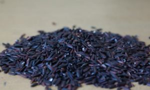 tren makanan 2017 beras hitam