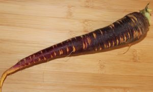 tren makanan 2017 wortel