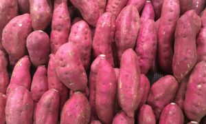 tren makanan 2017 ubi