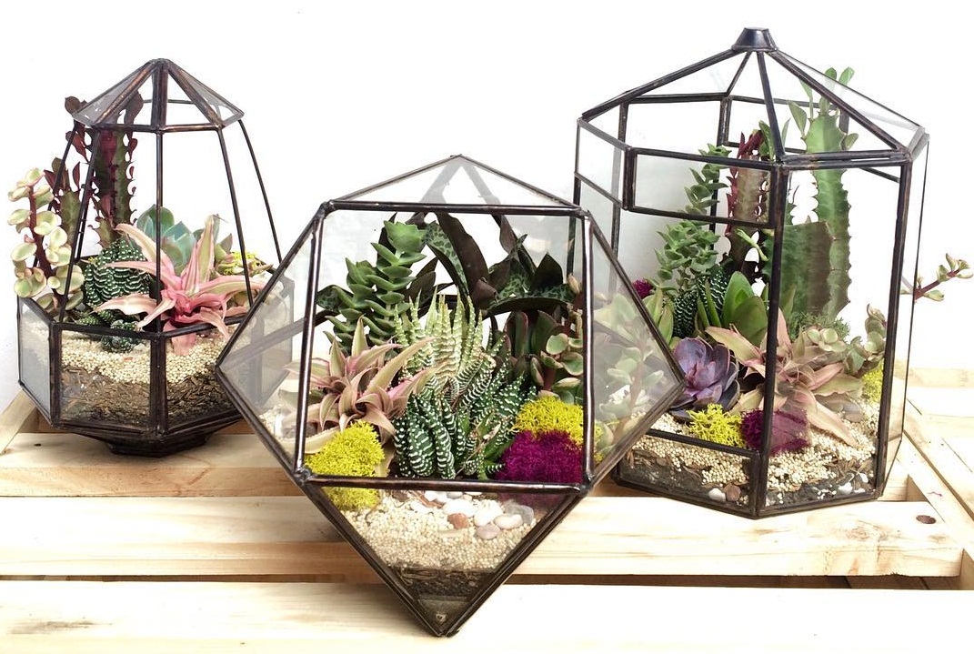 Cara Membuat Terrarium Sederhana Sendiri Blog Ruparupa