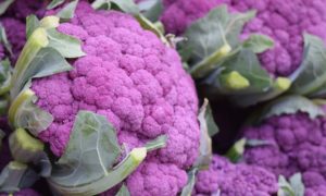 tren makanan 2017 kembang kol