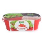 tomato grow kit
