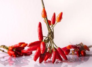 Cara Menanam Cabai di Rumah