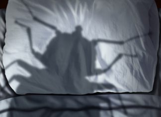 Mengapa Sofa & Kasur Harus Dibersihkan