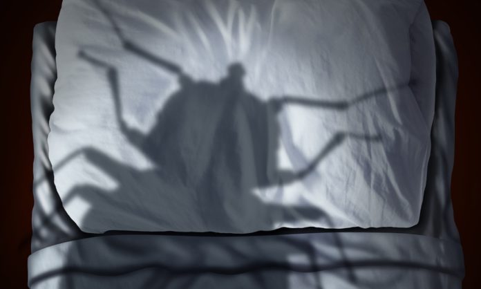 Mengapa Sofa & Kasur Harus Dibersihkan