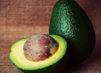 Memeram Buah Alpukat