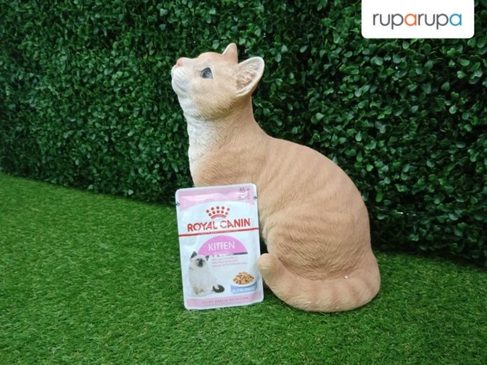 makanan anjing dan kucing