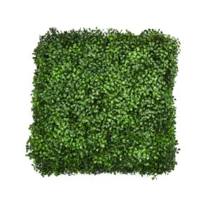 tips wujudkan taman impian di rumah