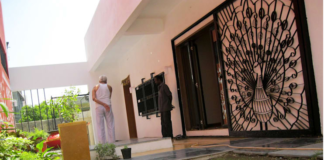 Teralis Desain Burung Merak Cropped