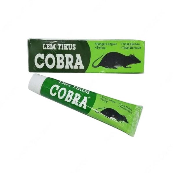 10 Cara Mengusir Tikus Dengan Bahan Yang Mudah Didapatkan Blog Ruparupa 10 Cara Mengusir Tikus Dengan Bahan Yang Mudah Didapatkan Blog Ruparupa