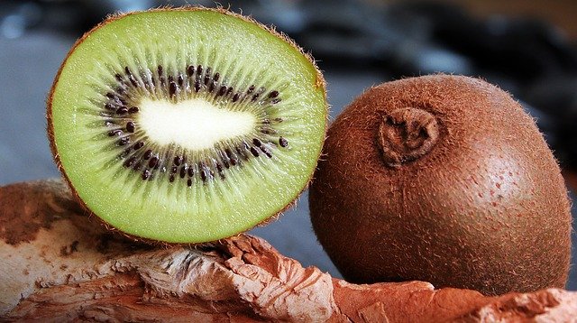 kiwi tanaman yang bisa ditanam di pot kecil