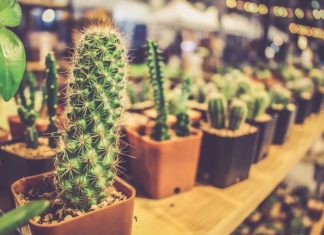 rak pot bunga dari kayu