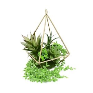 terrarium