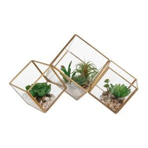 terrarium berkebun di rumah