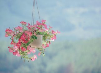 rak bunga besi tempel dinding