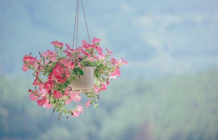 rak bunga besi tempel dinding