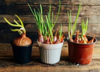 ukuran rak bunga dari besi