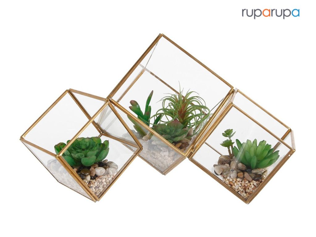 Kotak terrarium hiasan rumah