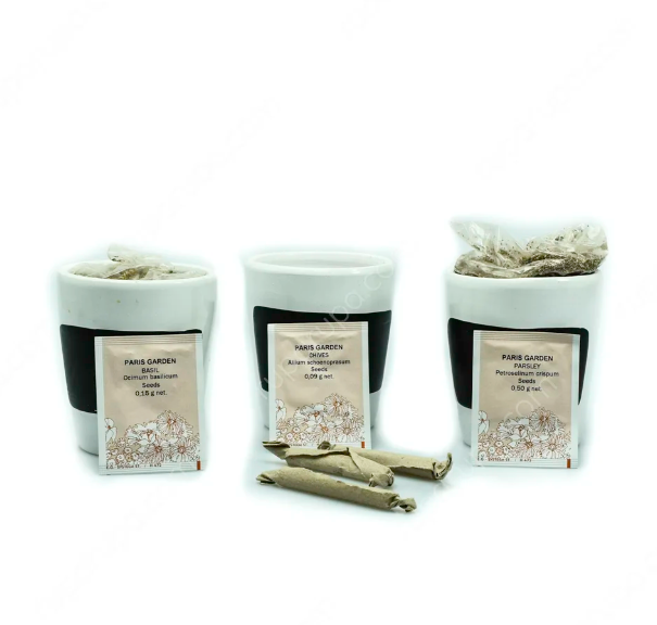 biji tanaman souvenir unik