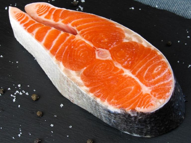 salmon makanan kucing