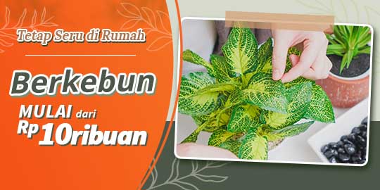 Promo berkebun 