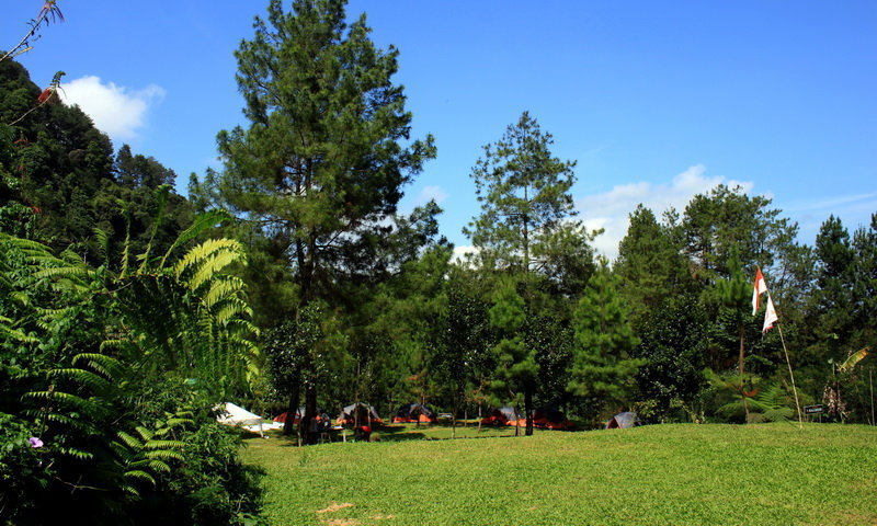tempat camping highland-camp