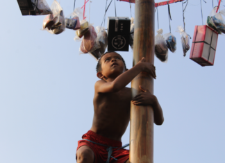 lomba panjat pinang