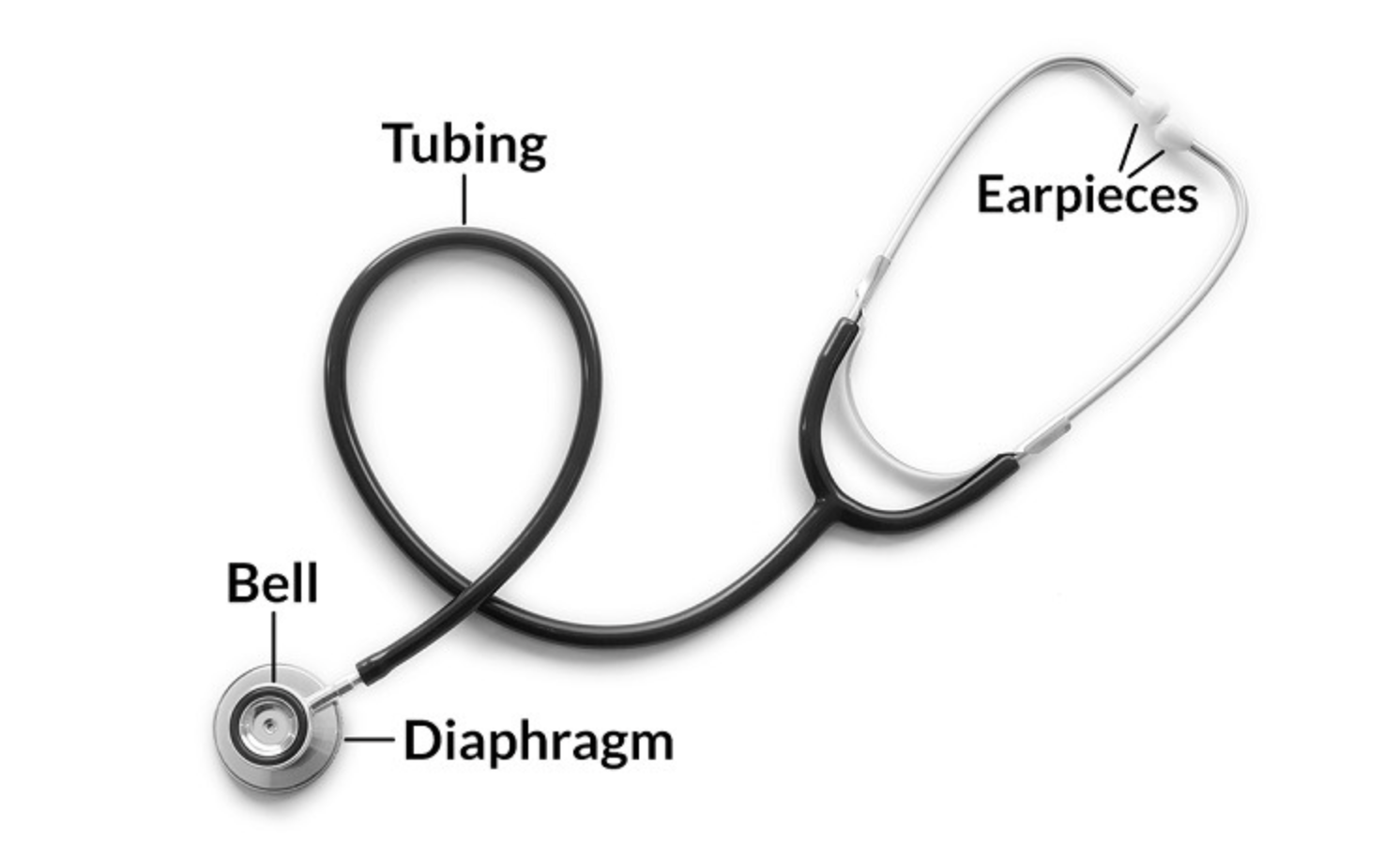 Bagian Stetoskop