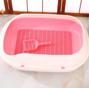 merawat kucing tanpa induk