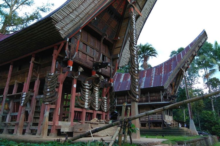 rumah adat tongkonan