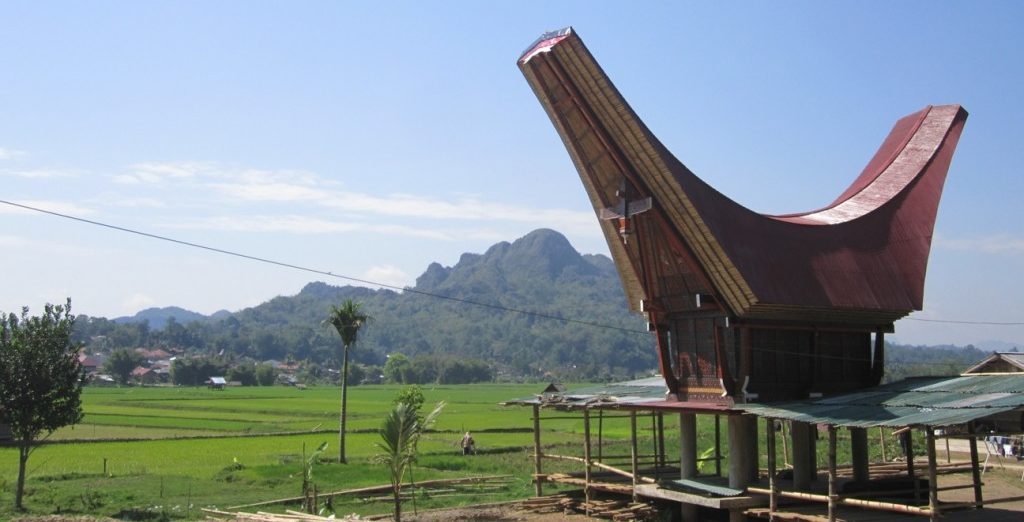 Rumah adat tongkonan berasal dari