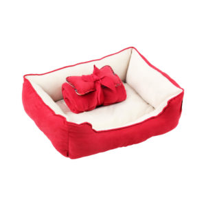 tempat tidur untuk merawat anak kucing