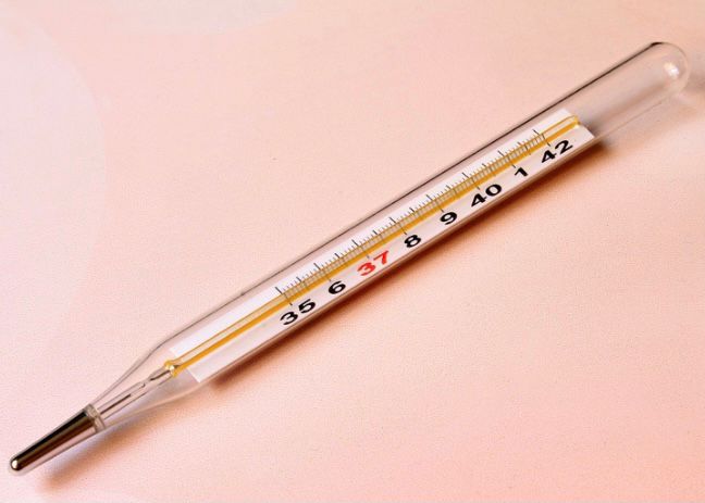 termometer air raksa