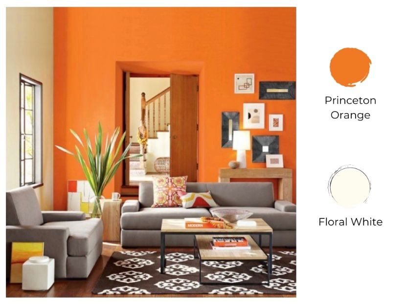 cat ruang tamu 2 warna princeton orange dan floral white