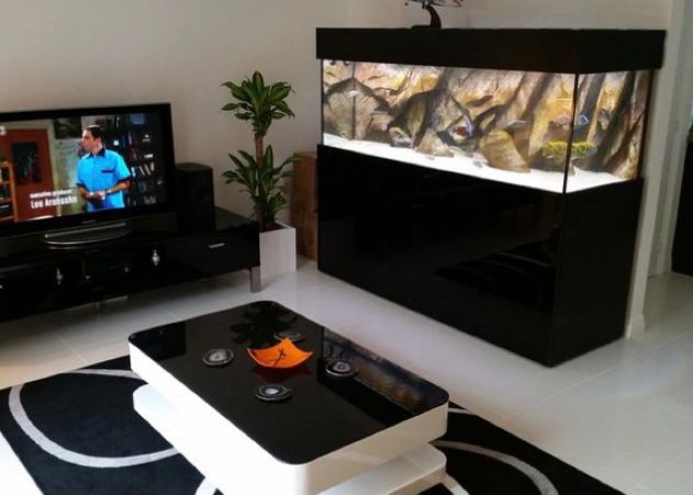 aquarium di ruang tamu minimalis