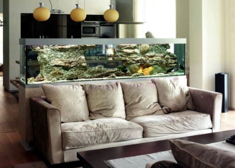 Aquarium memanjang di belakang sofa