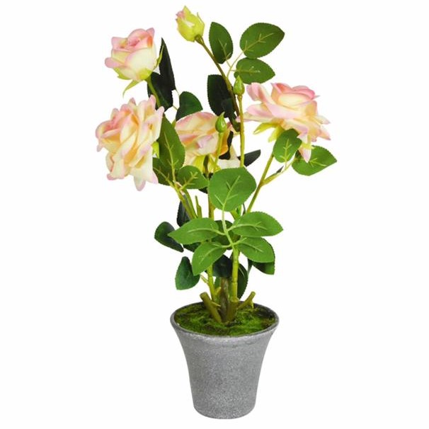 bunga kering untuk di rumah