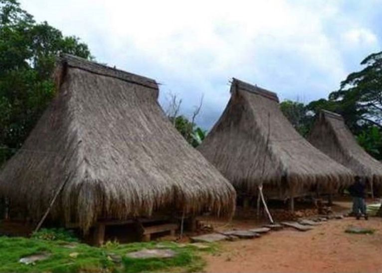 Nusa Tenggara Timur - Rumah Musalaki
