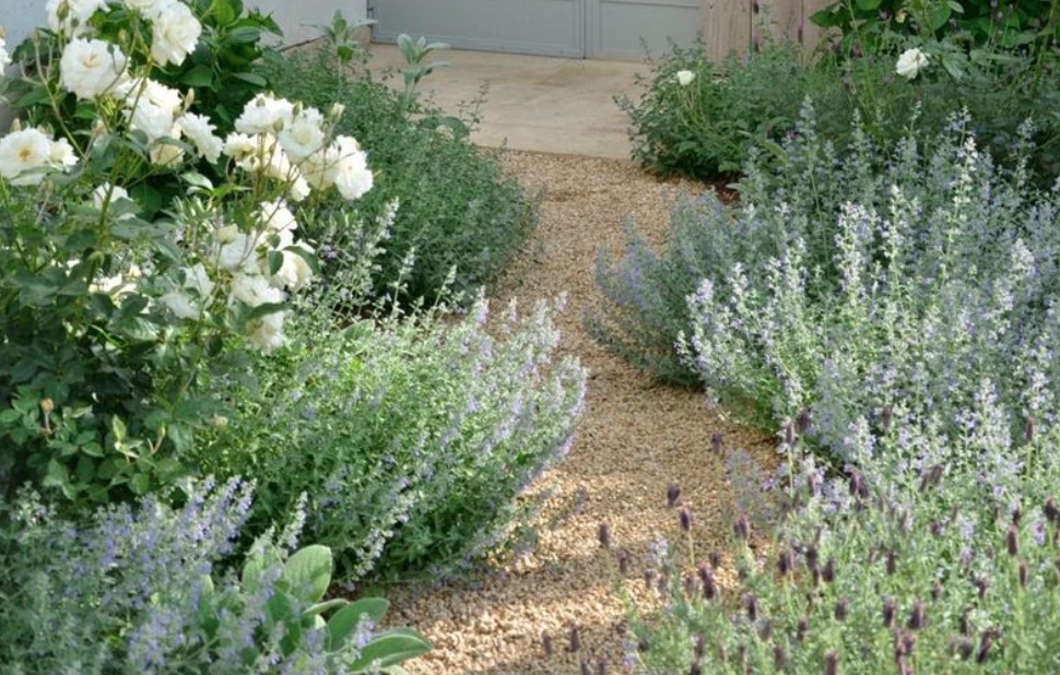 taman kering outdoor