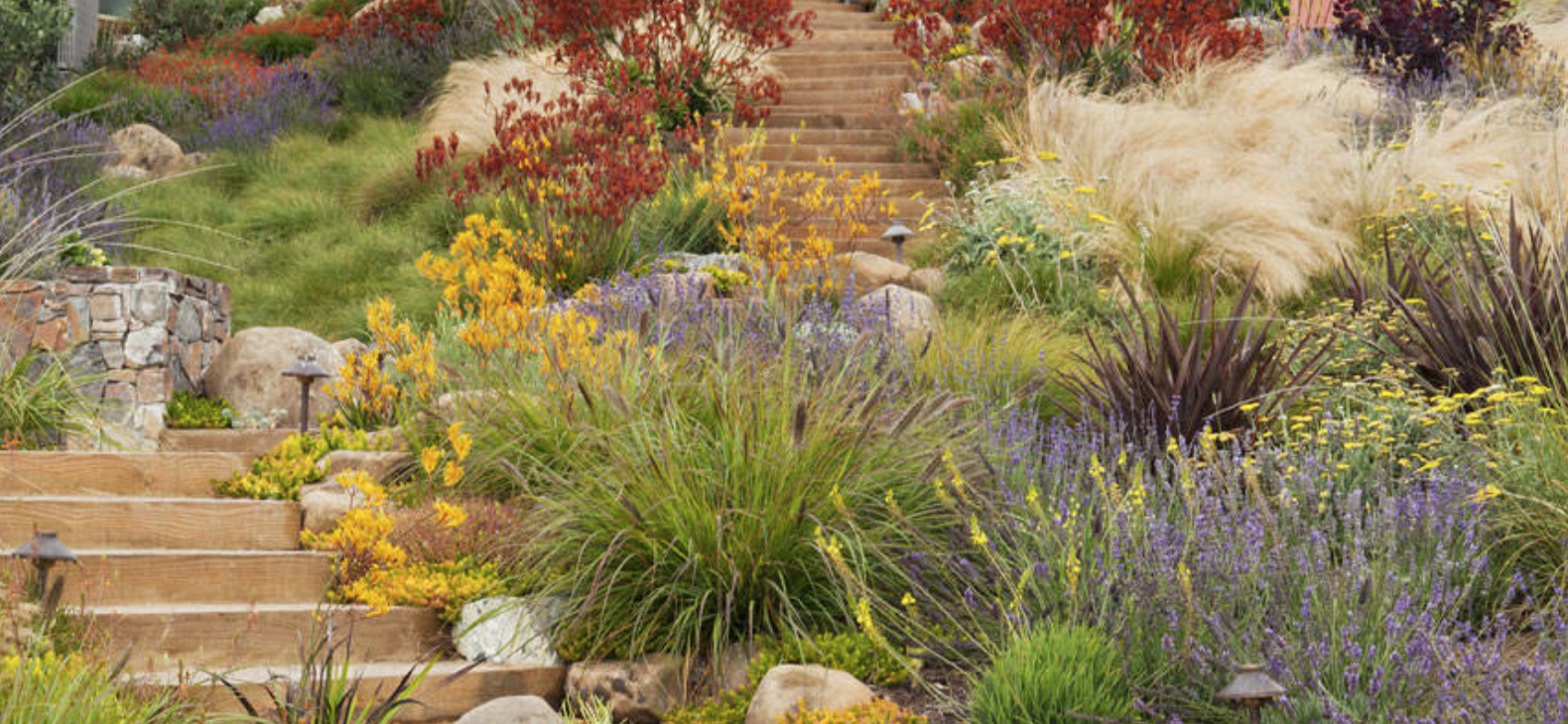 taman kering outdoor