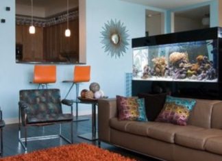 inspirasi aquarium di ruang tamu