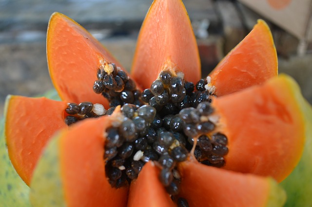 Papaya sumber makanan vitamin c