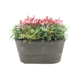 tanaman pink taman outdoor