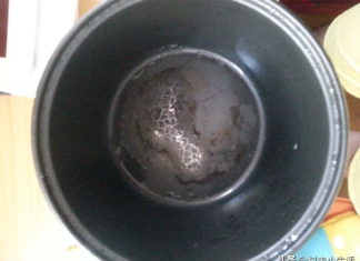 bahaya lapisan rice cooker