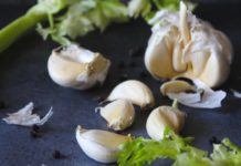 cara menanam bawang putih