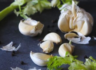 cara menanam bawang putih