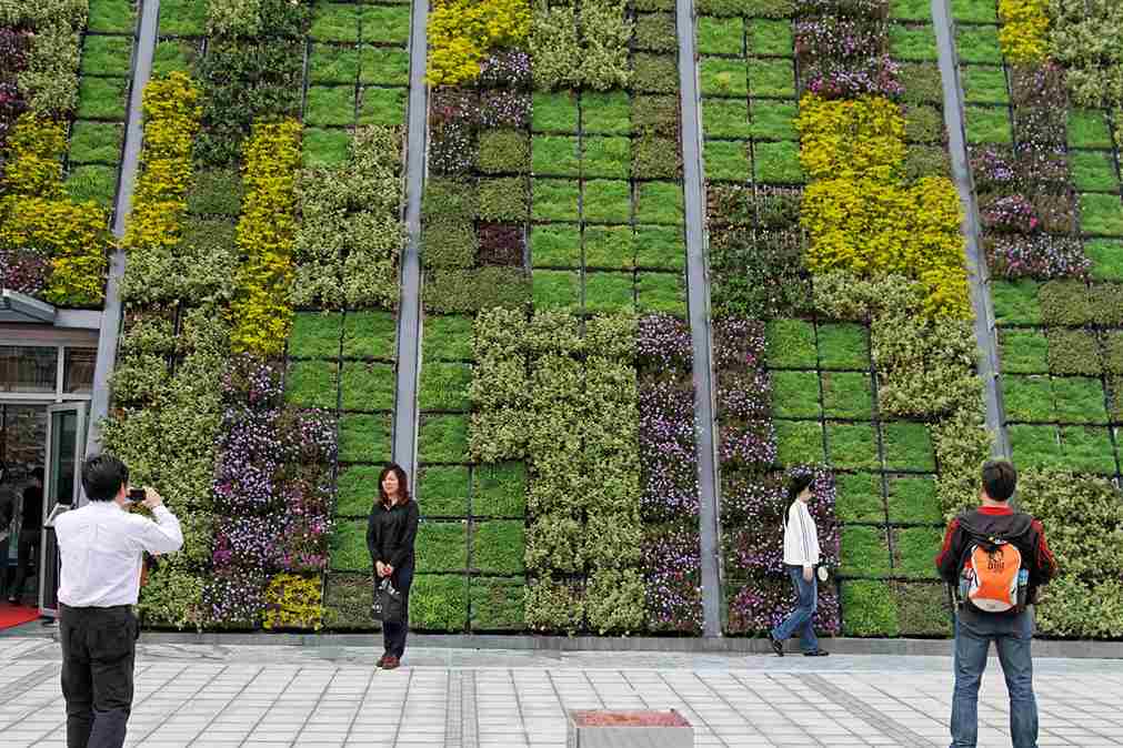 vertical garden