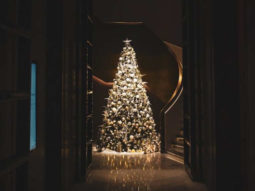 tips memilih lampu pohon natal