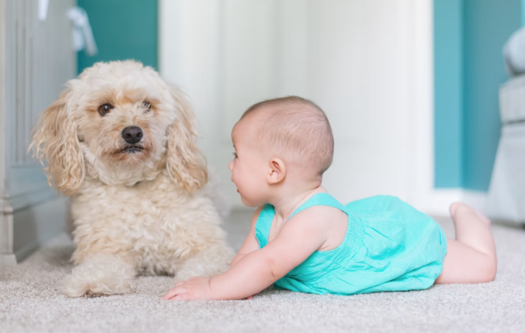 Kenali Tahapan Perkembangan Bayi dari Usia 0-6 Bulan