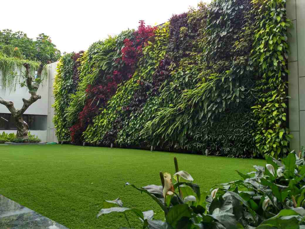 vertical garden